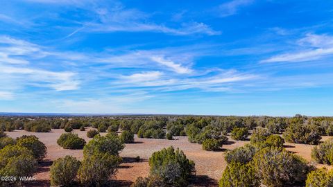 Tiny photo for 9023 Appaloosa Trl (Lot A) 5 Acres Trl, Show Low, AZ 85901 (MLS # 260382)