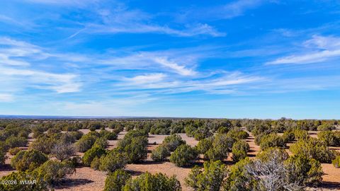 Tiny photo for 9023 Appaloosa Trl (Lot A) 5 Acres Trl, Show Low, AZ 85901 (MLS # 260382)