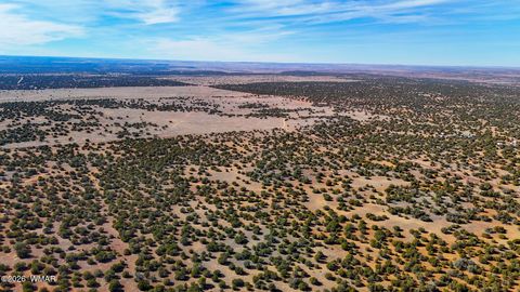 Tiny photo for 9023 Appaloosa Trl (Lot A) 5 Acres Trl, Show Low, AZ 85901 (MLS # 260382)