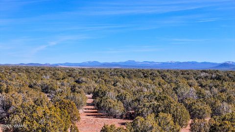 Tiny photo for 9023 Appaloosa Trl (Lot A) 5 Acres Trl, Show Low, AZ 85901 (MLS # 260382)