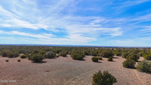 Tiny photo for 9023 Appaloosa Trl (Lot A) 5 Acres Trl, Show Low, AZ 85901 (MLS # 260382)