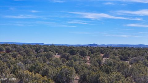 Tiny photo for 9023 Appaloosa Trl (Lot A) 5 Acres Trl, Show Low, AZ 85901 (MLS # 260382)