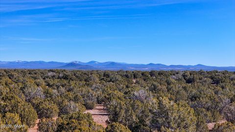 Tiny photo for 9023 Appaloosa Trl (Lot A) 5 Acres Trl, Show Low, AZ 85901 (MLS # 260382)