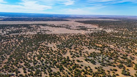 Tiny photo for 9023 Appaloosa Trl (Lot A) 5 Acres Trl, Show Low, AZ 85901 (MLS # 260382)