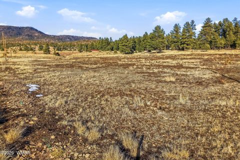Tiny photo for 179 Co Rd 2266, Alpine, AZ 85920 (MLS # 259136)