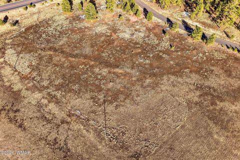 Tiny photo for 179 Co Rd 2266, Alpine, AZ 85920 (MLS # 259136)