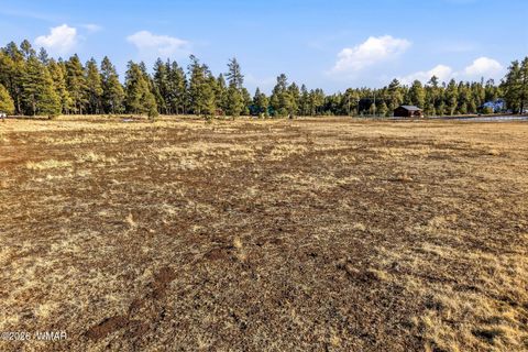 Tiny photo for 179 Co Rd 2266, Alpine, AZ 85920 (MLS # 259136)