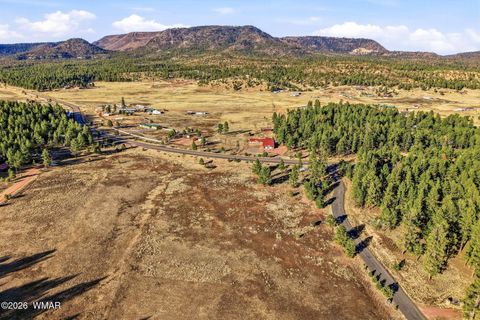 Tiny photo for 179 Co Rd 2266, Alpine, AZ 85920 (MLS # 259136)