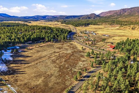 Tiny photo for 179 Co Rd 2266, Alpine, AZ 85920 (MLS # 259136)