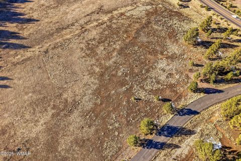 Tiny photo for 179 Co Rd 2266, Alpine, AZ 85920 (MLS # 259136)