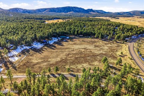 Tiny photo for 179 Co Rd 2266, Alpine, AZ 85920 (MLS # 259136)