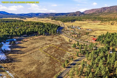 Photo of 179 Co Rd 2266, Alpine, AZ 85920 (MLS # 259136)