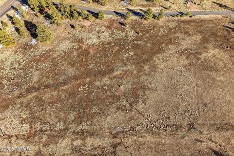 Tiny photo for 179 Co Rd 2266, Alpine, AZ 85920 (MLS # 259136)