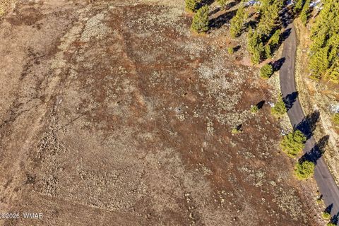 Tiny photo for 179 Co Rd 2266, Alpine, AZ 85920 (MLS # 259136)
