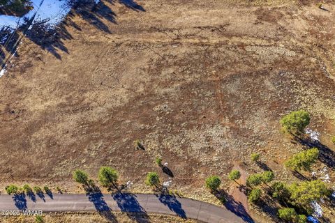 Tiny photo for 179 Co Rd 2266, Alpine, AZ 85920 (MLS # 259136)