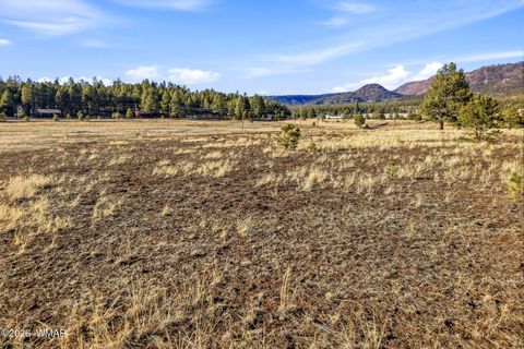 Tiny photo for 179 Co Rd 2266, Alpine, AZ 85920 (MLS # 259136)