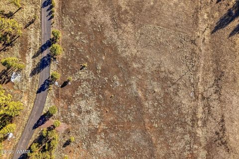 Tiny photo for 179 Co Rd 2266, Alpine, AZ 85920 (MLS # 259136)