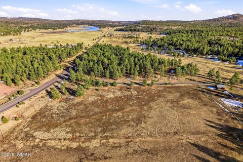 Tiny photo for 179 Co Rd 2266, Alpine, AZ 85920 (MLS # 259136)