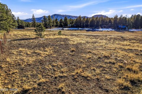Tiny photo for 179 Co Rd 2266, Alpine, AZ 85920 (MLS # 259136)