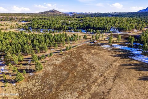 Tiny photo for 179 Co Rd 2266, Alpine, AZ 85920 (MLS # 259136)