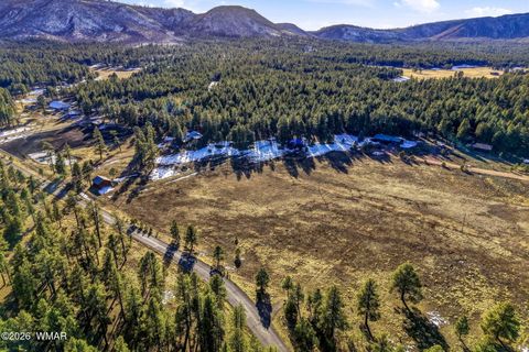 Tiny photo for 179 Co Rd 2266, Alpine, AZ 85920 (MLS # 259136)