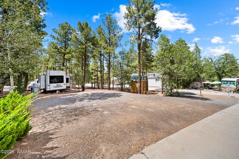 Photo of 3650 S Latigo Way, Show Low, AZ 85901 (MLS # 262261)