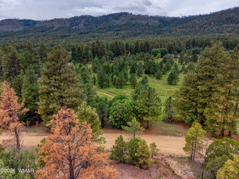 Tiny photo for 75 County Road 2108, Nutrioso, AZ 85932 (MLS # 254205)