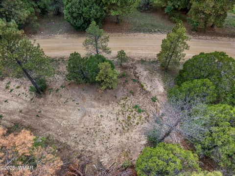 Tiny photo for 75 County Road 2108, Nutrioso, AZ 85932 (MLS # 254205)