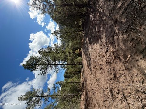 Tiny photo for 75 County Road 2108, Nutrioso, AZ 85932 (MLS # 254205)