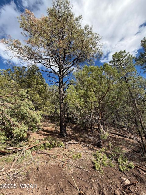 Tiny photo for 75 County Road 2108, Nutrioso, AZ 85932 (MLS # 254205)