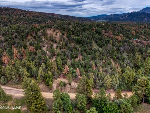 Tiny photo for 75 County Road 2108, Nutrioso, AZ 85932 (MLS # 254205)