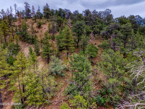 Tiny photo for 75 County Road 2108, Nutrioso, AZ 85932 (MLS # 254205)