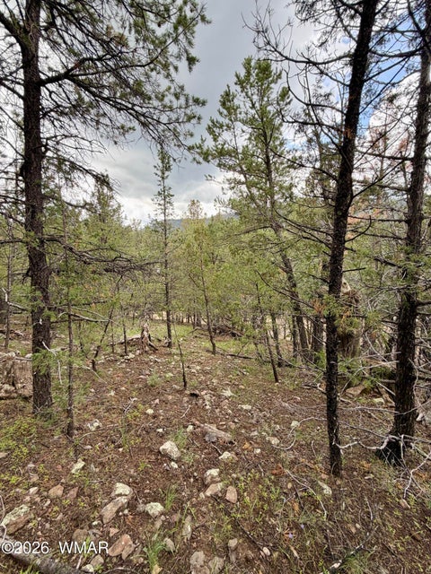 Tiny photo for 75 County Road 2108, Nutrioso, AZ 85932 (MLS # 254205)