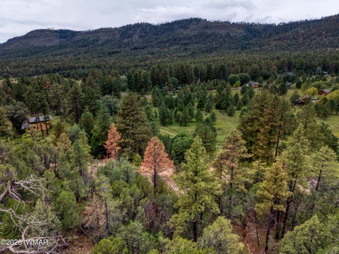 Tiny photo for 75 County Road 2108, Nutrioso, AZ 85932 (MLS # 254205)