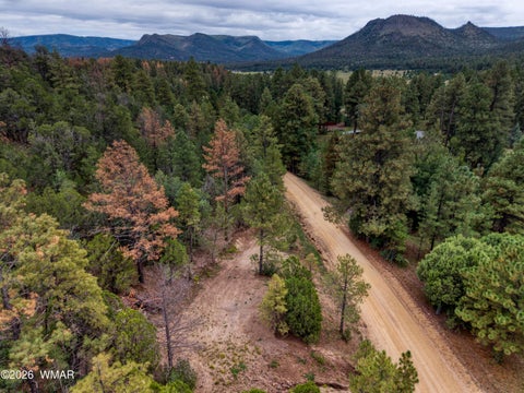 Photo of 75 County Road 2108, Nutrioso, AZ 85932 (MLS # 254205)