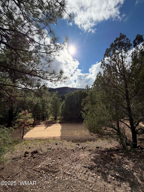 Tiny photo for 75 County Road 2108, Nutrioso, AZ 85932 (MLS # 254205)