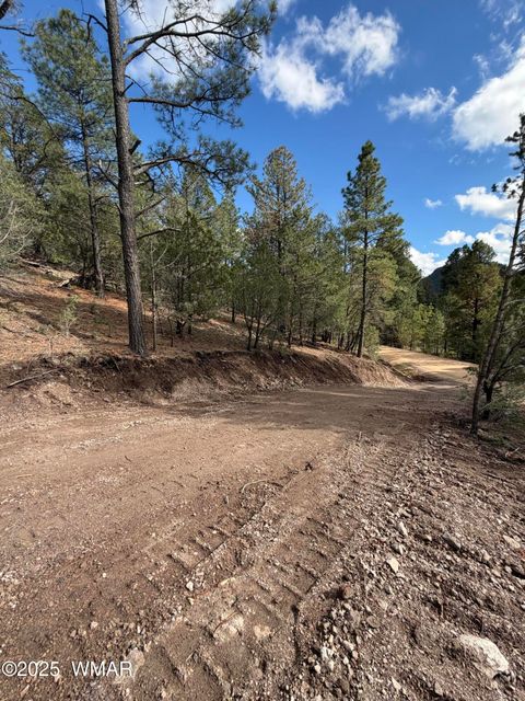 Tiny photo for 75 County Road 2108, Nutrioso, AZ 85932 (MLS # 254205)