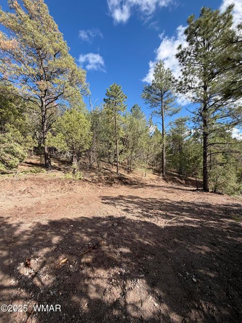 Photo of 75 County Road 2108, Nutrioso, AZ 85932 (MLS # 254205)