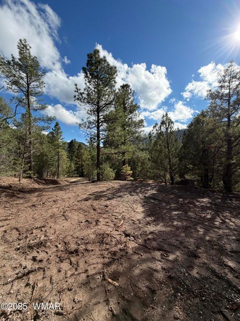 Tiny photo for 75 County Road 2108, Nutrioso, AZ 85932 (MLS # 254205)