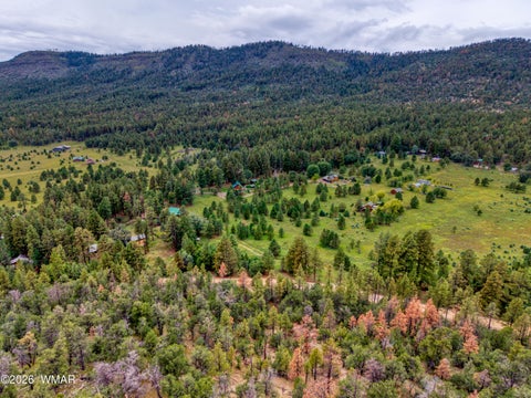 Tiny photo for 75 County Road 2108, Nutrioso, AZ 85932 (MLS # 254205)