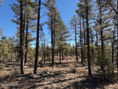 Tiny photo for 3071 W Black Oak Loop, Show Low, AZ 85901 (MLS # 259079)