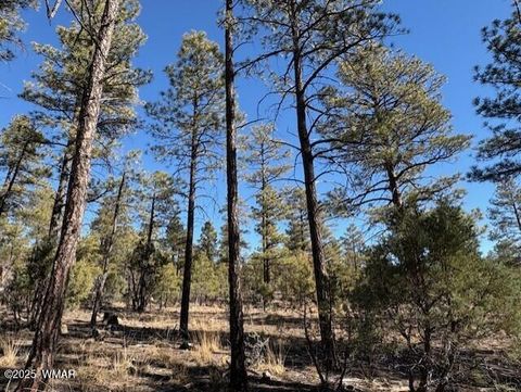 Tiny photo for 3071 W Black Oak Loop, Show Low, AZ 85901 (MLS # 259079)