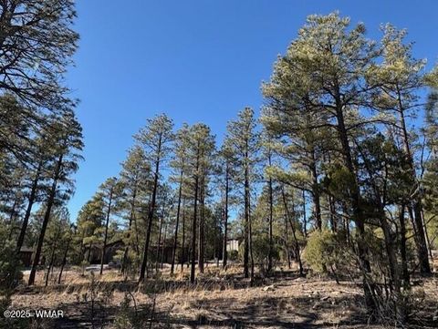 Tiny photo for 3071 W Black Oak Loop, Show Low, AZ 85901 (MLS # 259079)