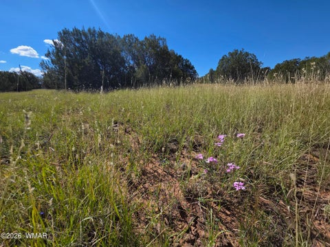 Tiny photo for 1 8063 Road, Vernon, AZ 85940 (MLS # 263432)