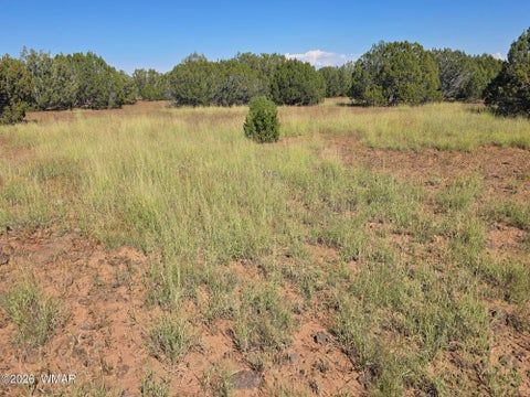 Tiny photo for 1 8063 Road, Vernon, AZ 85940 (MLS # 263432)