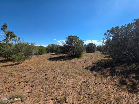 Tiny photo for 1 8063 Road, Vernon, AZ 85940 (MLS # 263432)