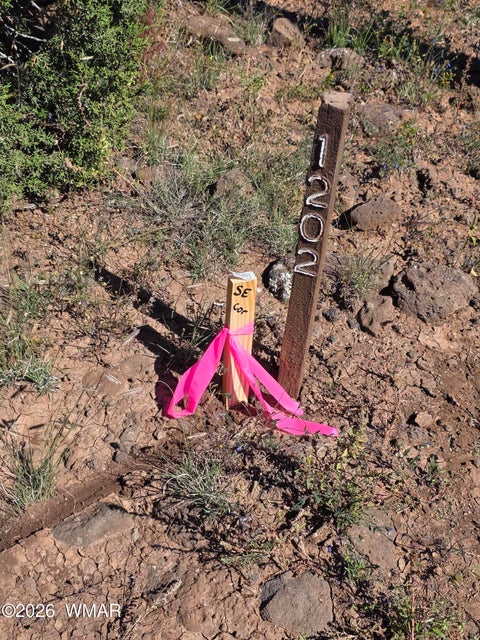 Tiny photo for 1 8063 Road, Vernon, AZ 85940 (MLS # 263432)