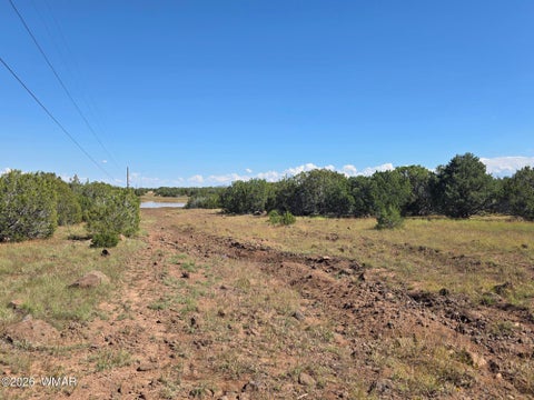 Tiny photo for 1 8063 Road, Vernon, AZ 85940 (MLS # 263432)