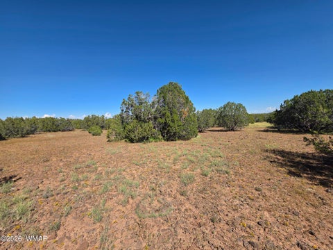Tiny photo for 1 8063 Road, Vernon, AZ 85940 (MLS # 263432)