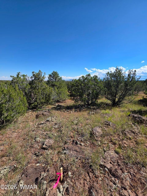 Tiny photo for 1 8063 Road, Vernon, AZ 85940 (MLS # 263432)